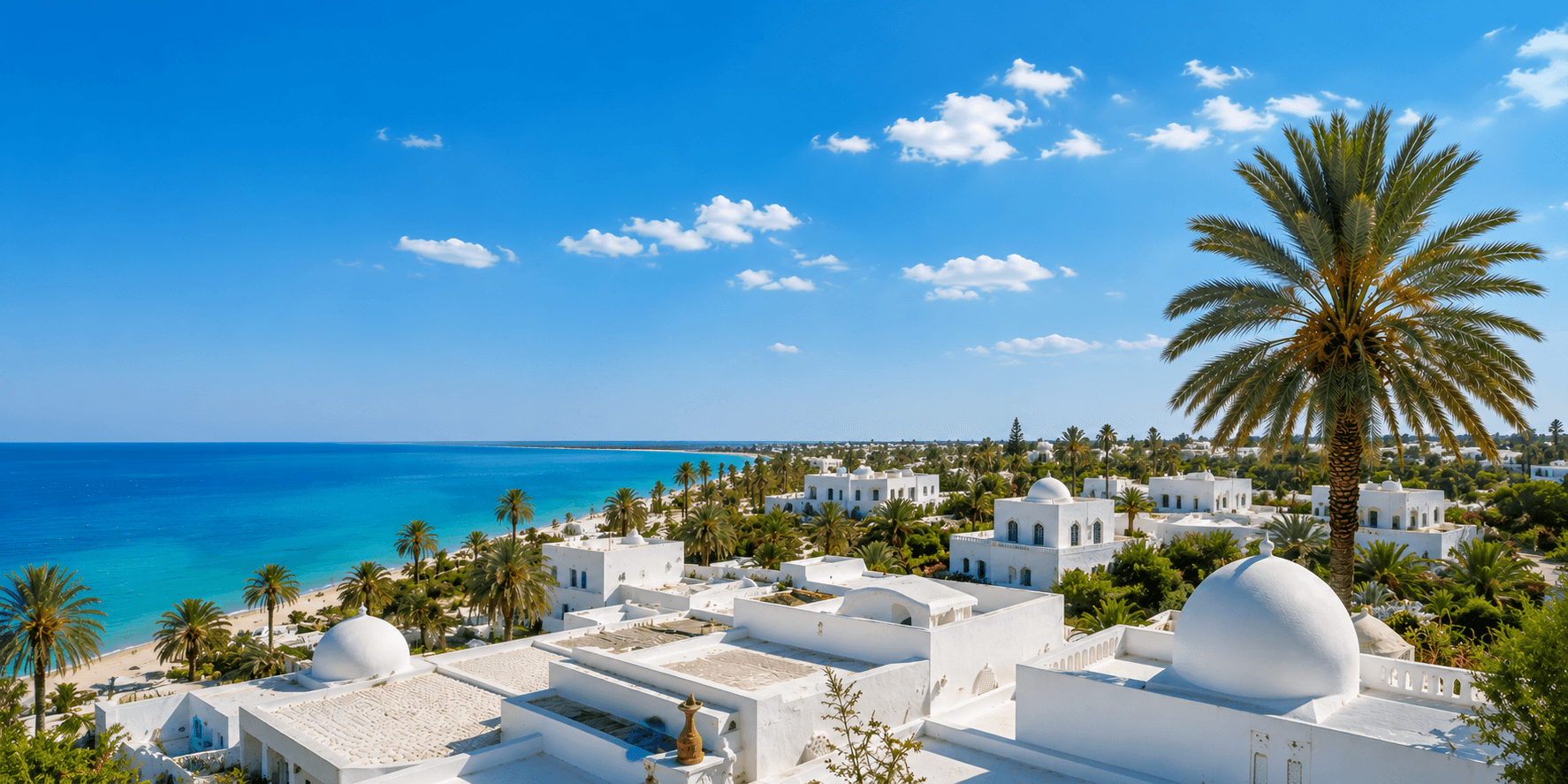 Vue ensoleillée de Djerba avec mer, palmiers et ambiance locale